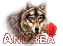 for Andrea 