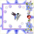 Blue bird