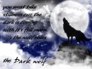 The dark wolf