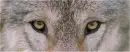 I can see you