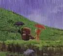 Domo in the rain 