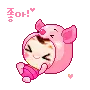 baby piglet