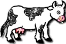 cow