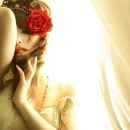 red rose