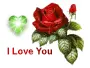 chris