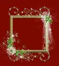 Red frame flowers