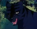 Kurotora