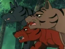 Akatora - Kurotora - Chutora