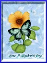 Have A Wonderful Day