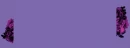 purple flowers