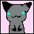 Gray Kitten