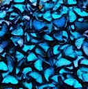 abstract blue butterflys