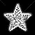 mini silver star