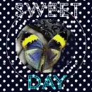 Sweet day