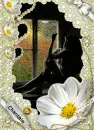 Lady in window