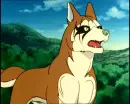 Hakuro