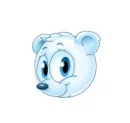 Bear Face
