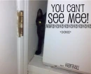 You Can't See Me Kitty