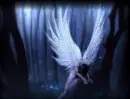 forest angel