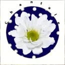 Speed Flowers