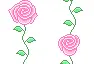 Pink Roses
