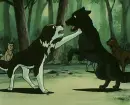 Smith and Kurotora