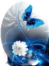 Blue batterfly