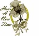 have a nice time