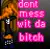 dont mess wid the bitch