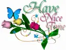 have nice time