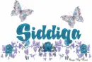 Siddiqa
