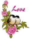 Love Birds
