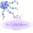 Have a nice saturday