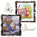 friends bears