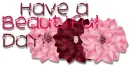 have a beautiful day!