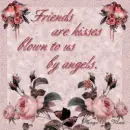 Friendship
