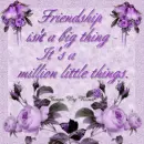 Friendship