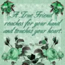 Friendship