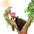Bear in tree