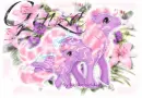 Ginza-Pink&Purple pony