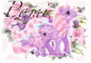 Pami-Pink&Purple pony