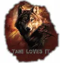 Wolf - tami loves it