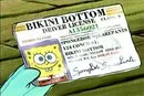 what?! SPONGEBOB got a liscence? 