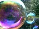bubbles