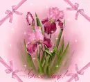 good day!