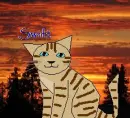 Swiftbreeze