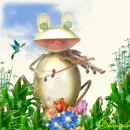 Mr Frogg