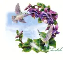 Colibra nectar