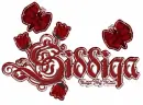 Siddiqa