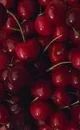 cherry wallpaper
